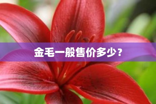 金毛一般售价多少？
