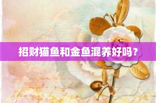 招财猫鱼和金鱼混养好吗？