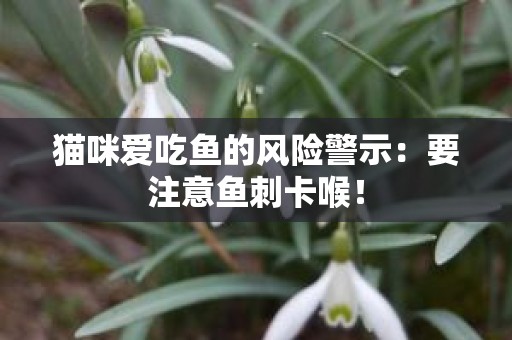 猫咪爱吃鱼的风险警示：要注意鱼刺卡喉！