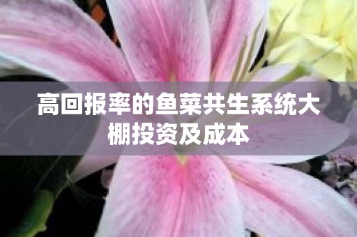 高回报率的鱼菜共生系统大棚投资及成本