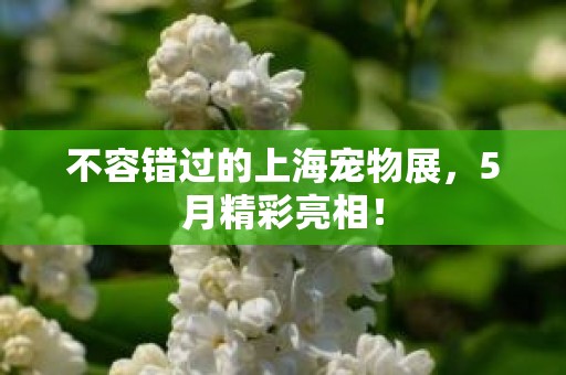 不容错过的上海宠物展，5月精彩亮相！