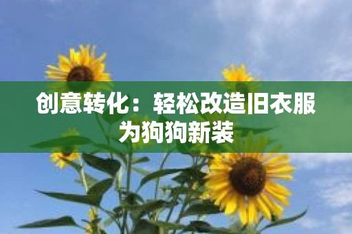 创意转化：轻松改造旧衣服为狗狗新装