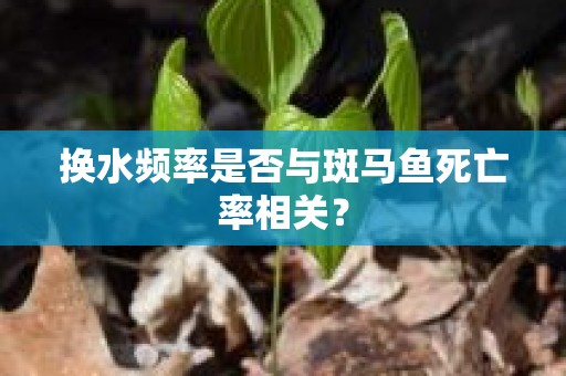 换水频率是否与斑马鱼死亡率相关？