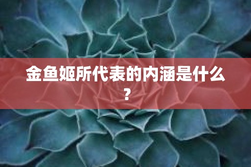 金鱼姬所代表的内涵是什么？