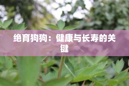 绝育狗狗：健康与长寿的关键