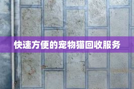 快速方便的宠物猫回收服务