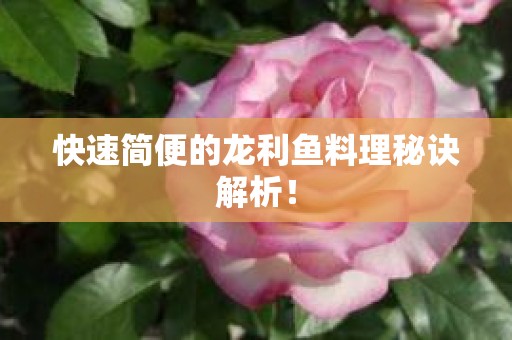 快速简便的龙利鱼料理秘诀解析！