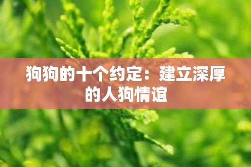 狗狗的十个约定：建立深厚的人狗情谊