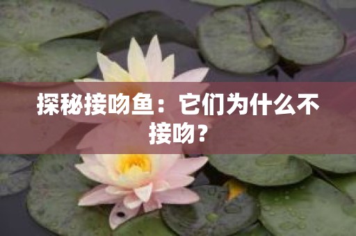 探秘接吻鱼：它们为什么不接吻？