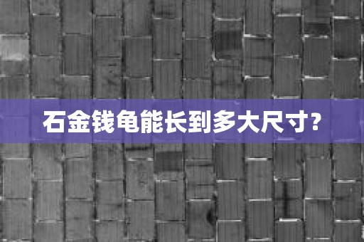 石金钱龟能长到多大尺寸？