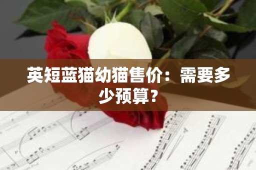 英短蓝猫幼猫售价：需要多少预算？
