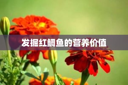 发掘红鲷鱼的营养价值