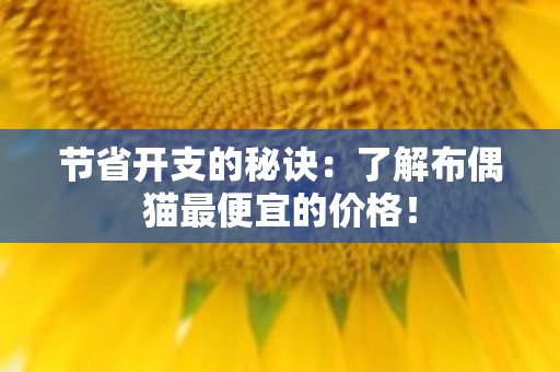 节省开支的秘诀：了解布偶猫最便宜的价格！