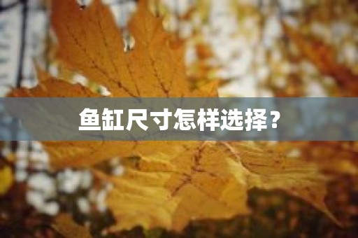 鱼缸尺寸怎样选择？