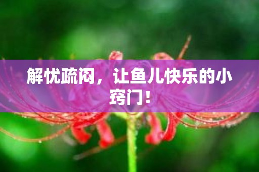 解忧疏闷，让鱼儿快乐的小窍门！