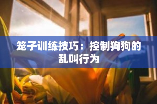 笼子训练技巧：控制狗狗的乱叫行为