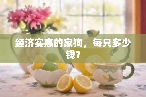 经济实惠的家狗，每只多少钱？