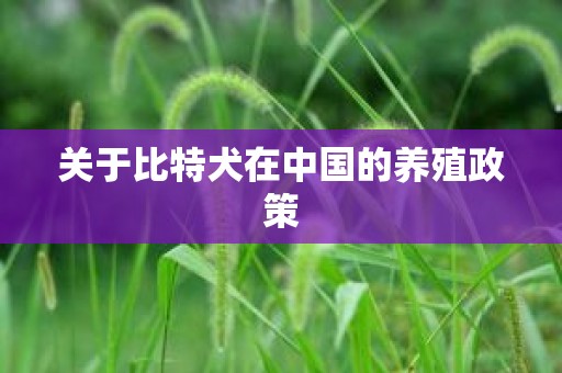 关于比特犬在中国的养殖政策