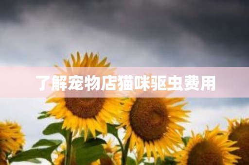 了解宠物店猫咪驱虫费用