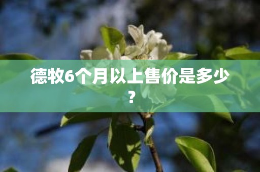 德牧6个月以上售价是多少？