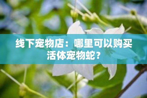 线下宠物店：哪里可以购买活体宠物蛇？