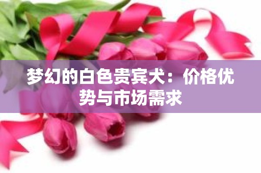 梦幻的白色贵宾犬：价格优势与市场需求
