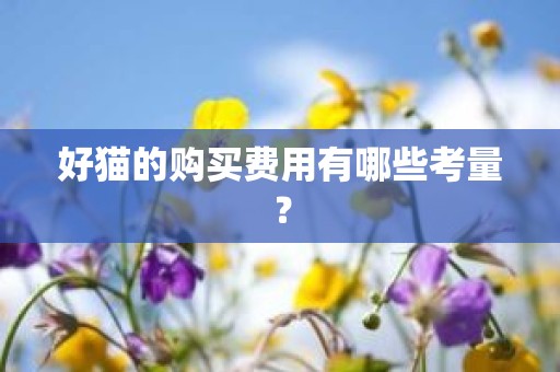 好猫的购买费用有哪些考量？