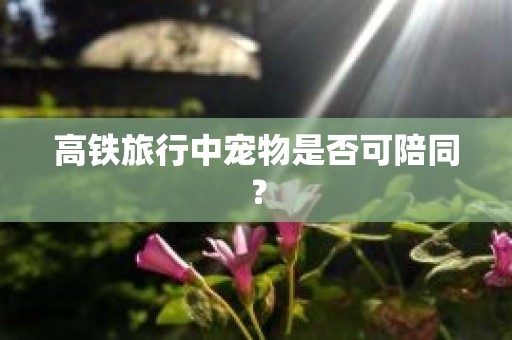 高铁旅行中宠物是否可陪同？