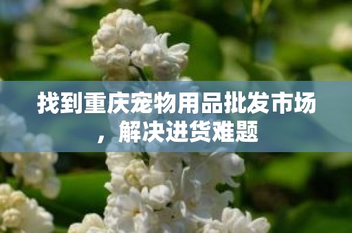 找到重庆宠物用品批发市场，解决进货难题