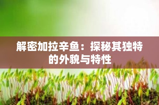 解密加拉辛鱼：探秘其独特的外貌与特性