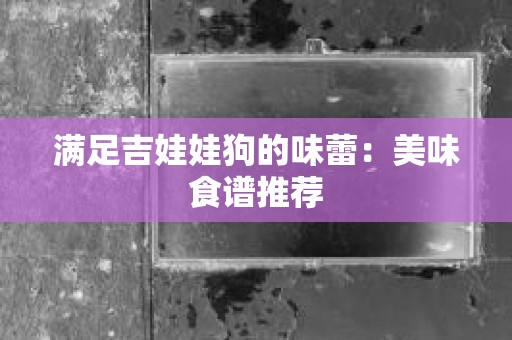 满足吉娃娃狗的味蕾：美味食谱推荐
