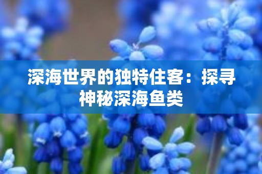 深海世界的独特住客：探寻神秘深海鱼类