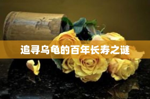 追寻乌龟的百年长寿之谜