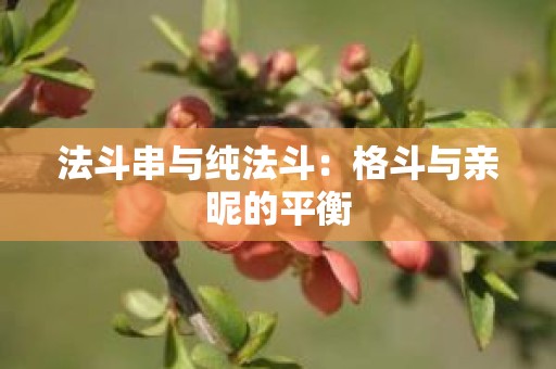 法斗串与纯法斗：格斗与亲昵的平衡