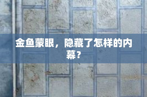 金鱼蒙眼，隐藏了怎样的内幕？