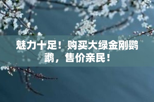 魅力十足！购买大绿金刚鹦鹉，售价亲民！