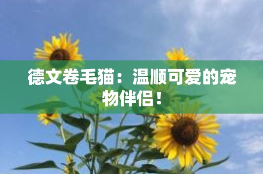 德文卷毛猫：温顺可爱的宠物伴侣！
