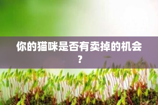 你的猫咪是否有卖掉的机会？