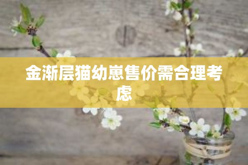 金渐层猫幼崽售价需合理考虑