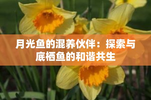 月光鱼的混养伙伴：探索与底栖鱼的和谐共生
