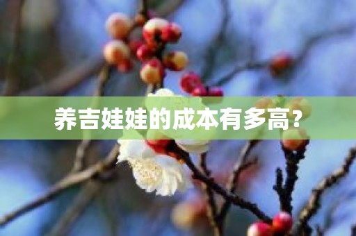 养吉娃娃的成本有多高？