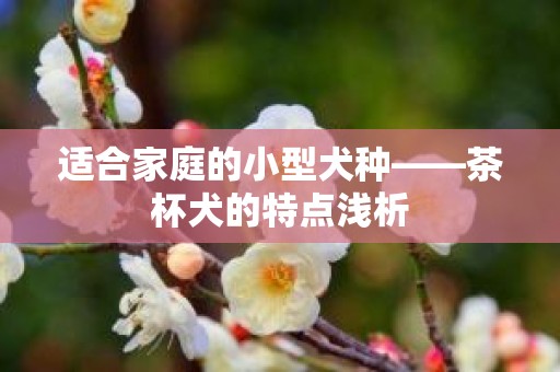 适合家庭的小型犬种——茶杯犬的特点浅析