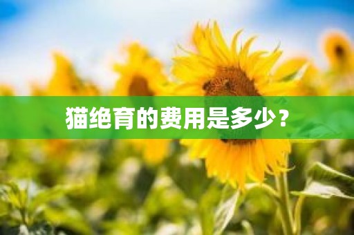 猫绝育的费用是多少？