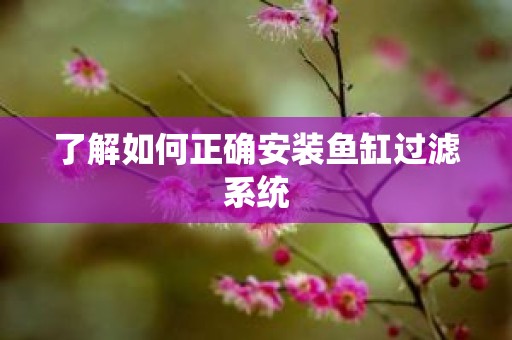 了解如何正确安装鱼缸过滤系统