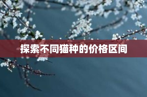 探索不同猫种的价格区间