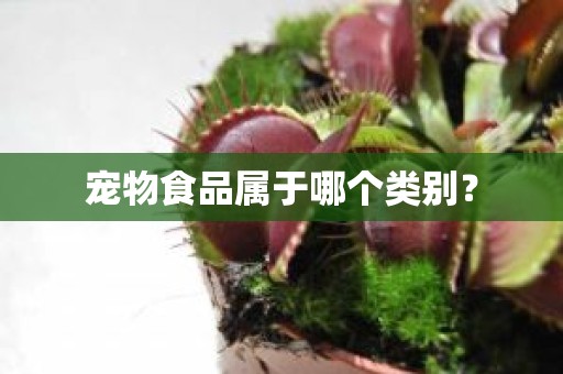 宠物食品属于哪个类别？