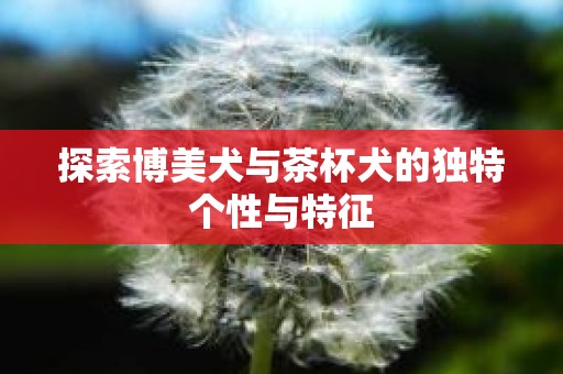 探索博美犬与茶杯犬的独特个性与特征