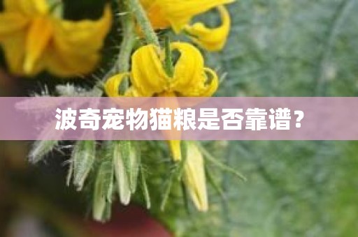 波奇宠物猫粮是否靠谱？