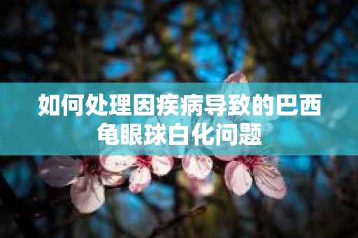 如何处理因疾病导致的巴西龟眼球白化问题