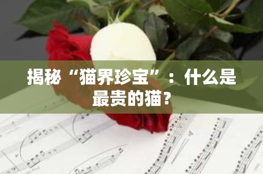 揭秘“猫界珍宝”：什么是最贵的猫？